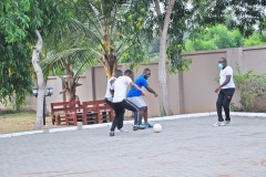 imgi_168_thumbs_OLEA-M_G-2022-166