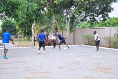 imgi_178_thumbs_OLEA-M_G-2022-176