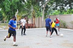 imgi_188_thumbs_OLEA-M_G-2022-186