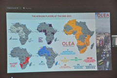 imgi_253_thumbs_OLEA-M_G-2022-252