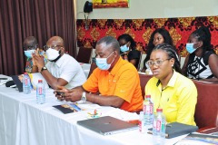 imgi_264_thumbs_OLEA-M_G-2022-263